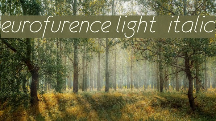 eurofurence light italic Schriftart examples