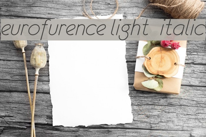 eurofurence light italic Schriftart examples