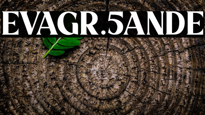 EVAGR.5ANDE Example 1