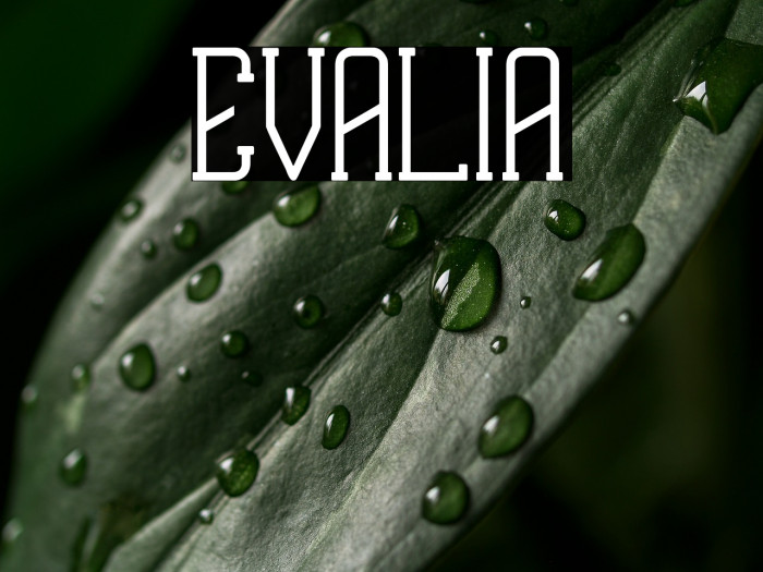 EVALIA Example 2