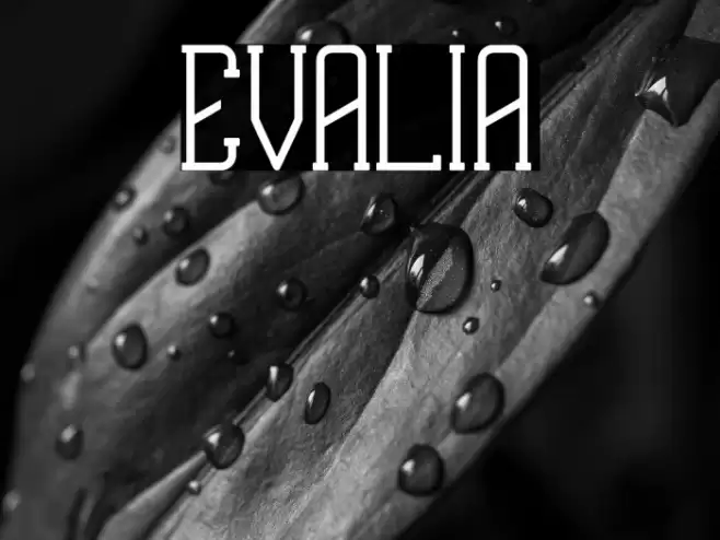 EVALIA Font examples