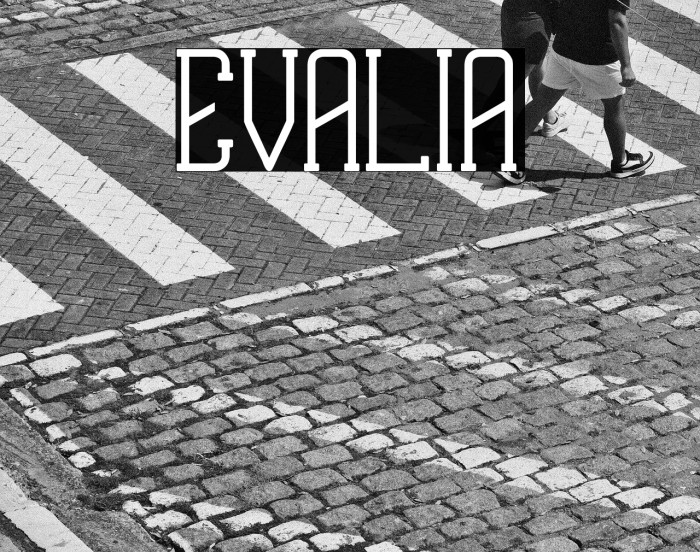 EVALIA Example 3