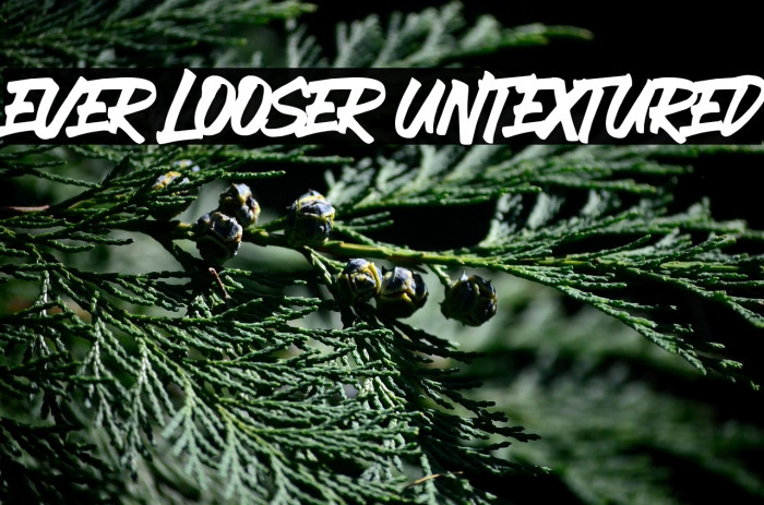 EVER LOOSER UNTEXTURED Example 1