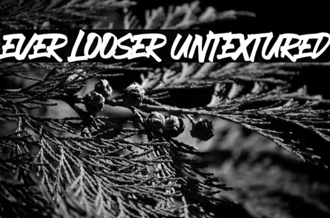 EVER LOOSER UNTEXTURED Example 1