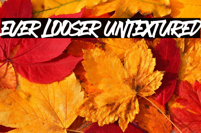 EVER LOOSER UNTEXTURED Example 2