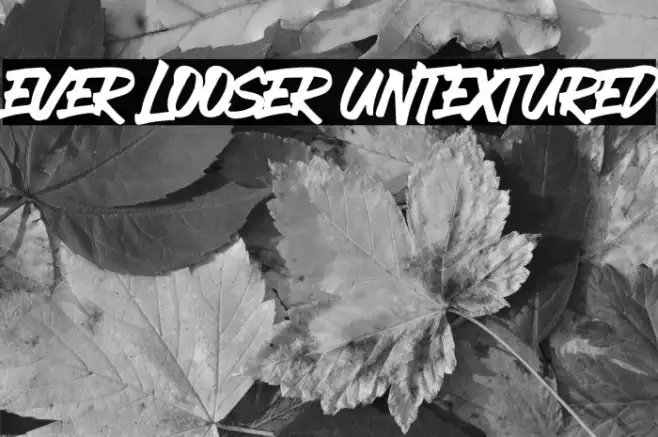 EVER LOOSER UNTEXTURED Example 2