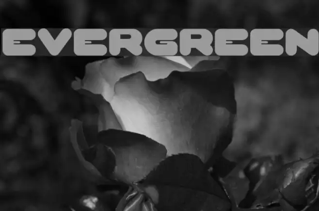EVERGREEN Example 1