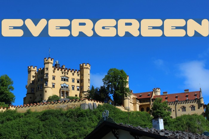 EVERGREEN Font examples