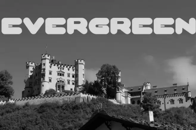 EVERGREEN Example 2