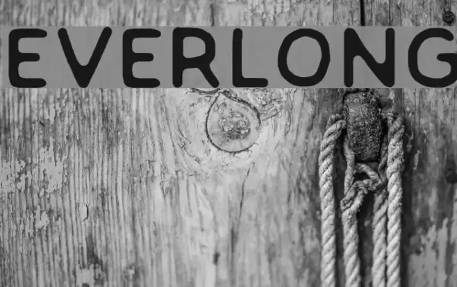 EVERLONG Fonte examples