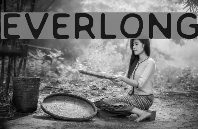 EVERLONG Fonte examples