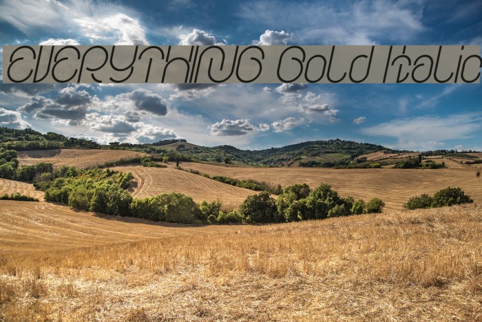 EVERYTHING Bold Italic Font examples