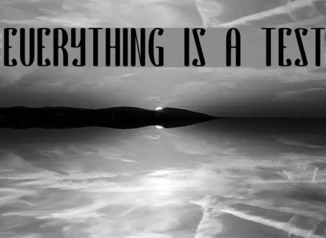 EVERYTHING IS A TEST Font examples