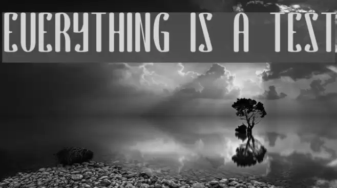 EVERYTHING IS A TEST Font examples
