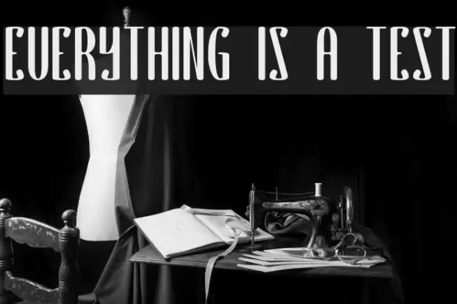 EVERYTHING IS A TEST Font examples