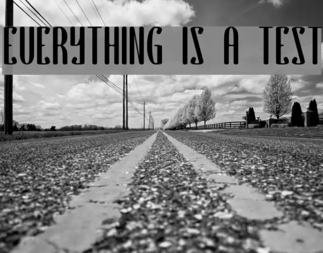 EVERYTHING IS A TEST Font examples