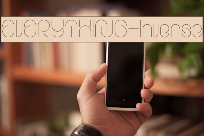 EVERYTHING-Inverse Example 3