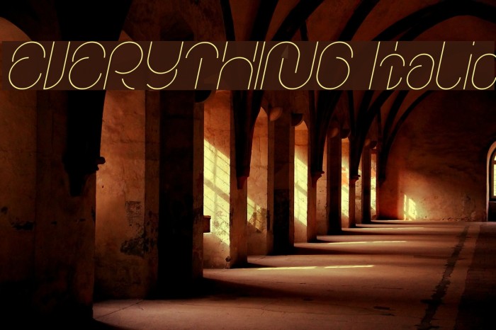 EVERYTHING Italic Font examples