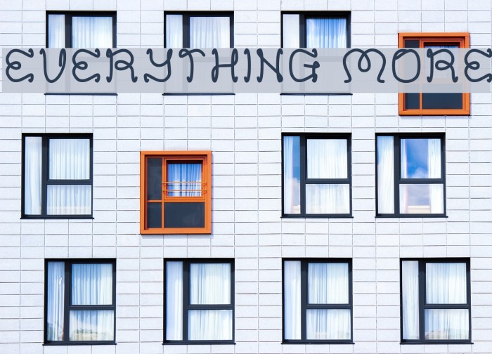 EVERYTHING MORE Font examples