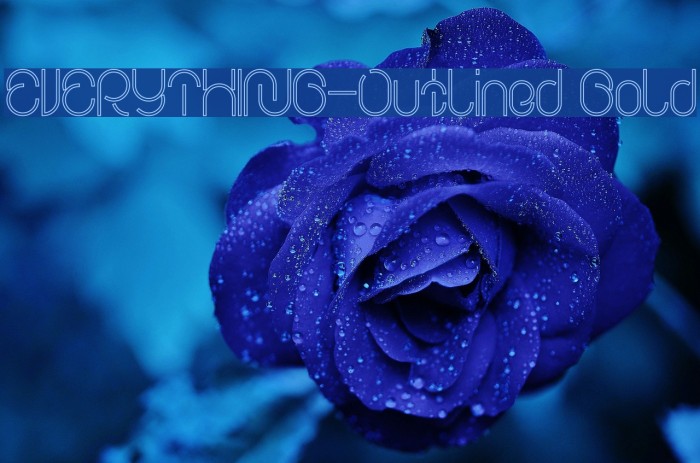 EVERYTHING-Outlined Bold Example 2