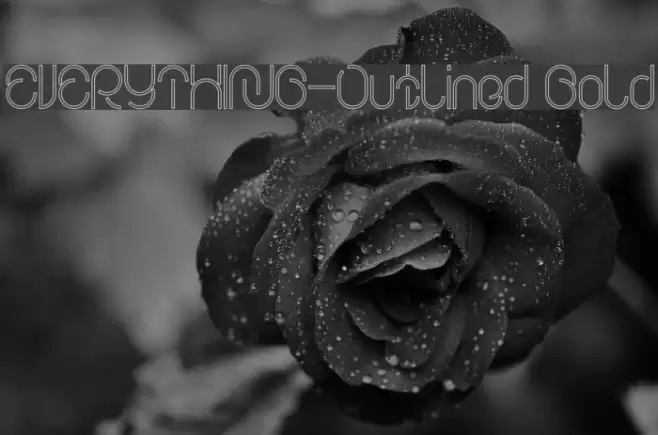 EVERYTHING-Outlined Bold Font examples