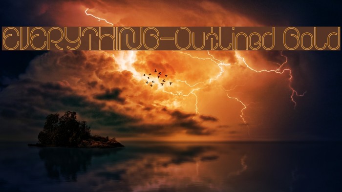 EVERYTHING-Outlined Bold Example 3