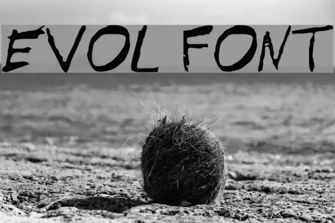 EVOL Example 1