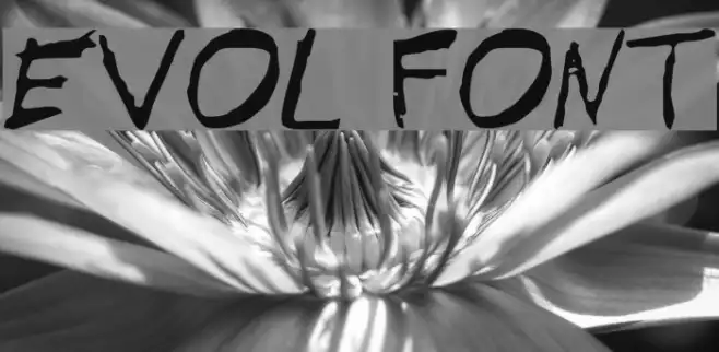 EVOL Example 2