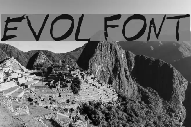 EVOL Example 3