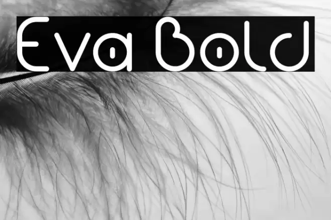 Eva Bold Font examples
