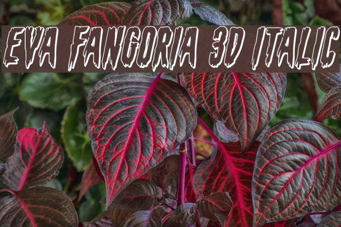 Eva Fangoria 3D Italic Font examples
