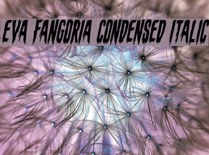 Eva Fangoria Condensed Italic Font examples
