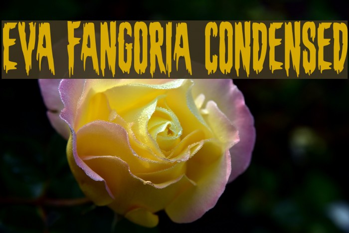Eva Fangoria Condensed Example 2