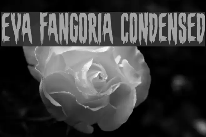 Eva Fangoria Condensed Font examples