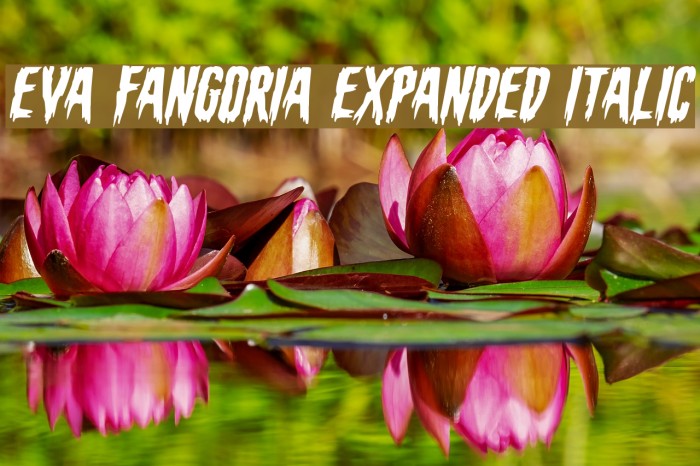 Eva Fangoria Expanded Italic Font examples