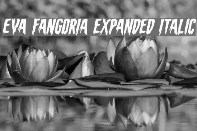 Eva Fangoria Expanded Italic Font examples