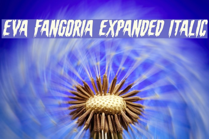 Eva Fangoria Expanded Italic Font examples