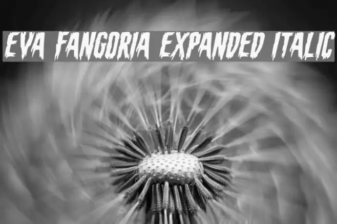 Eva Fangoria Expanded Italic Font examples