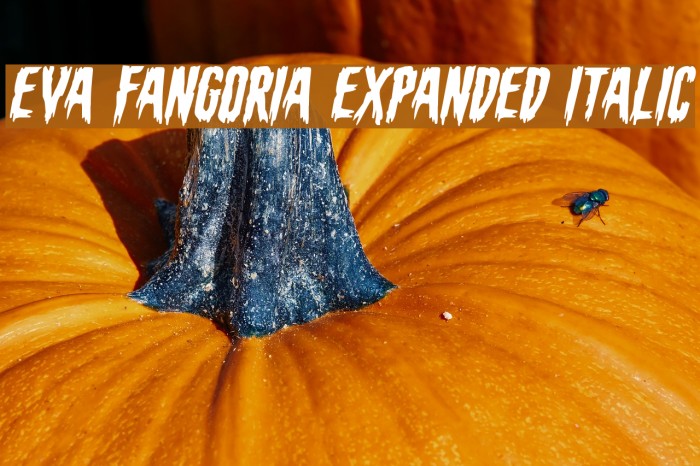 Eva Fangoria Expanded Italic Font examples