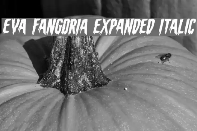 Eva Fangoria Expanded Italic Font examples