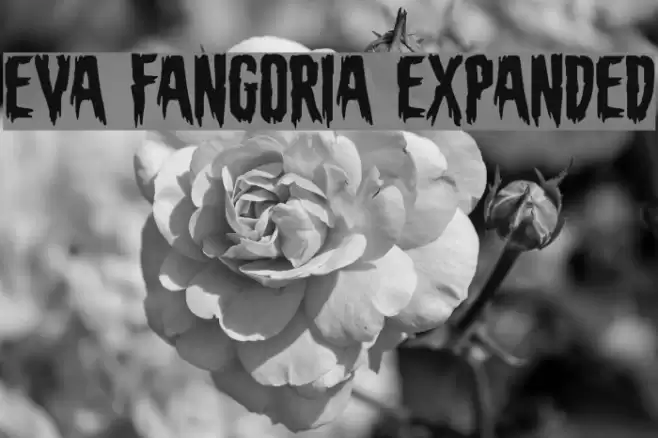 Eva Fangoria Expanded Font examples