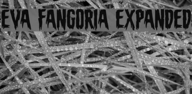 Eva Fangoria Expanded Font examples