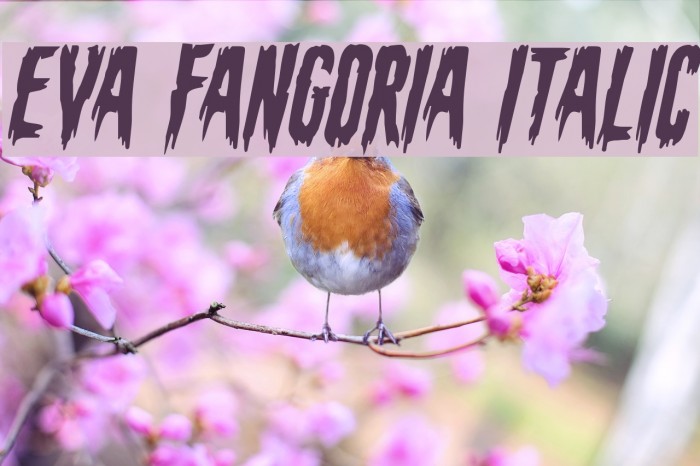 Eva Fangoria Italic Font examples