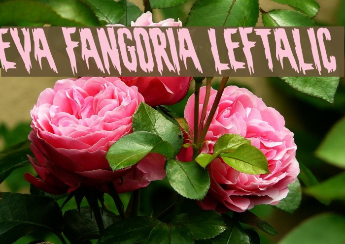 Eva Fangoria Leftalic Font examples