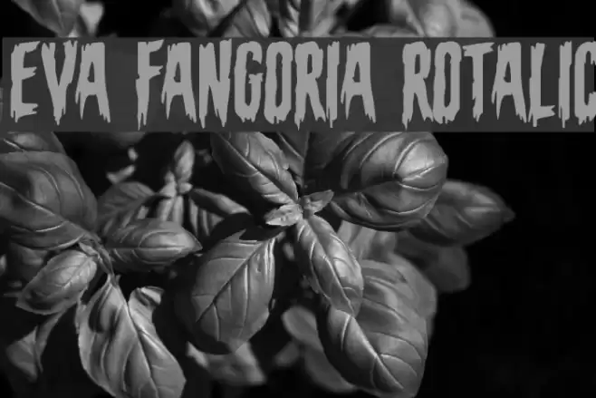 Eva Fangoria Rotalic Font examples