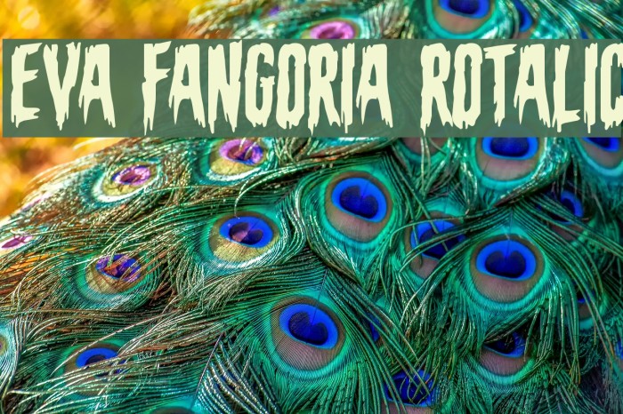 Eva Fangoria Rotalic Example 3