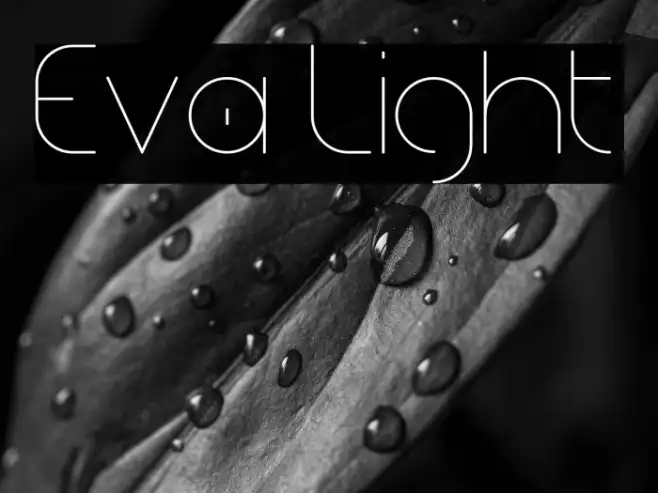 Eva Light Example 1