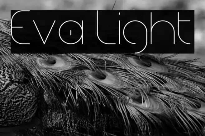 Eva Light Example 2