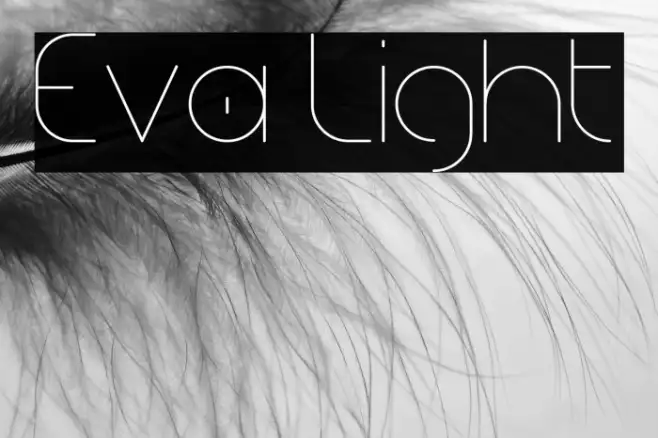 Eva Light Example 3