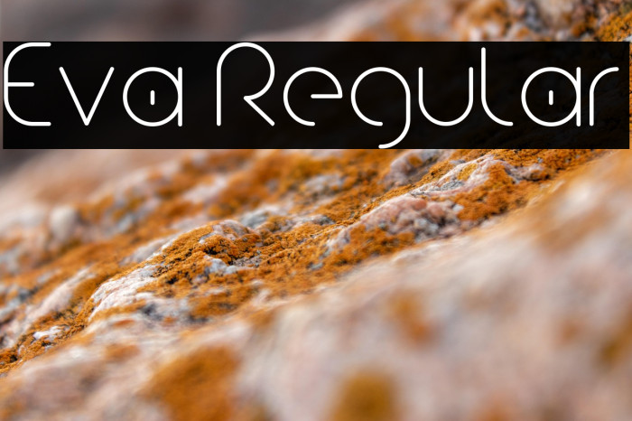 Eva Regular Example 1